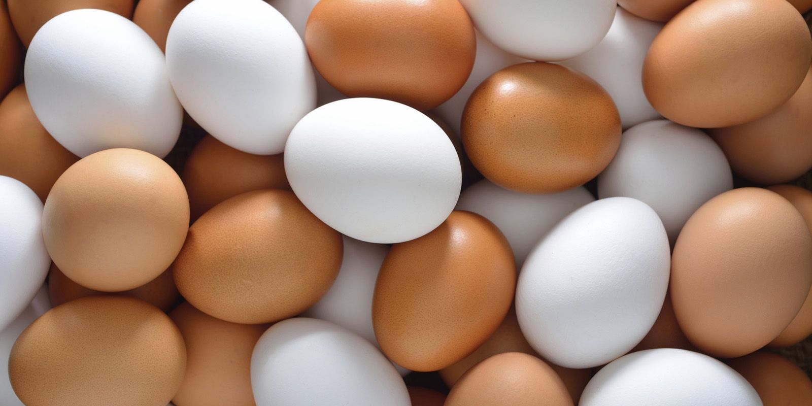 Huevos